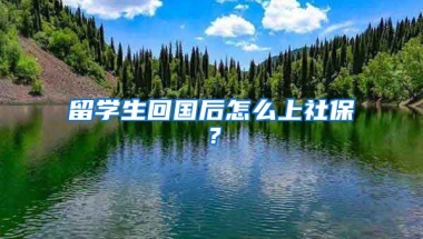 留学生回国后怎么上社保？