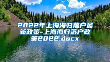 2022年上海海归落户最新政策-上海海归落户政策2022.docx