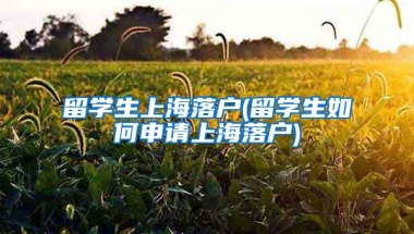 留学生上海落户(留学生如何申请上海落户)