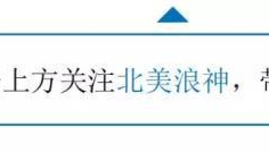 留学生回国求职，错过秋招那就是一个亿！别落下！跑在国内795万毕业生前面！