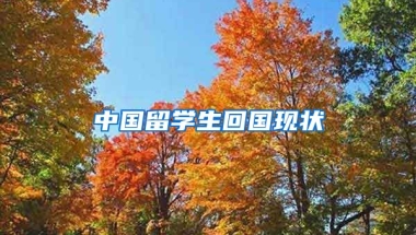 中国留学生回国现状