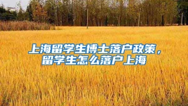 上海留学生博士落户政策，留学生怎么落户上海