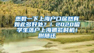 悉数一下上海户口居然有如此多好处？！2020留学生落户上海抓紧时机！附随迁