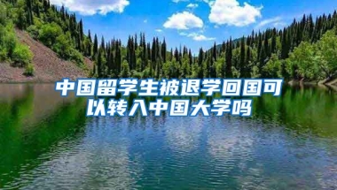 中国留学生被退学回国可以转入中国大学吗