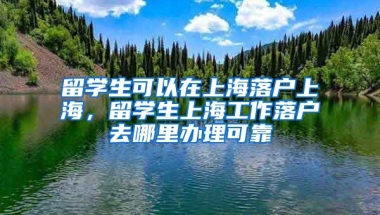 留学生可以在上海落户上海，留学生上海工作落户去哪里办理可靠