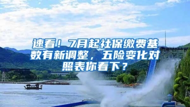 入户深圳，到底选个人户口还是集体户口？区别竟然这么大？