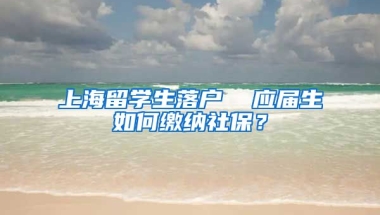 上海留学生落户  应届生如何缴纳社保？