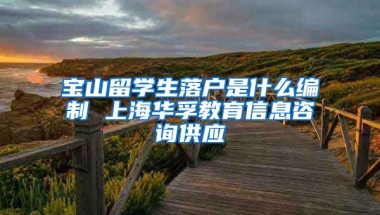 宝山留学生落户是什么编制 上海华孚教育信息咨询供应