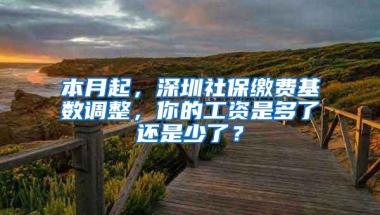 涨知识了！深圳户口还可以这样玩，没了工作竟然也能交社保