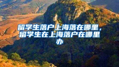 留学生落户上海落在哪里，留学生在上海落户在哪里办