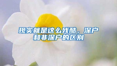 “放管服”改革正式实施！深圳男子用身份证选走粤C999牌！数十万车年检有新变化！