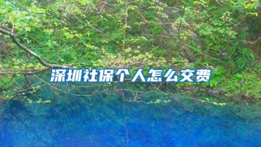 2022年上海人才引进申请材料清单