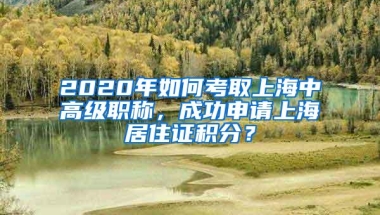 深圳医保一档、二档、三档有什么区别？