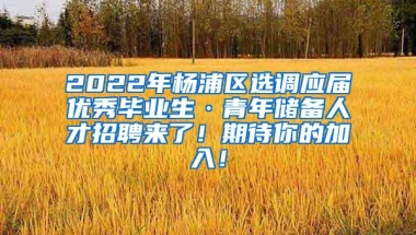 申请麦吉尔大学毕业回国可以在上海落户吗？